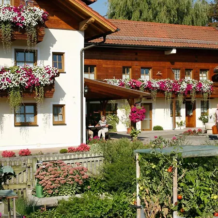 Hotel Boutique-hotel Hasenberger *